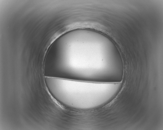 X0000056321521200508260837