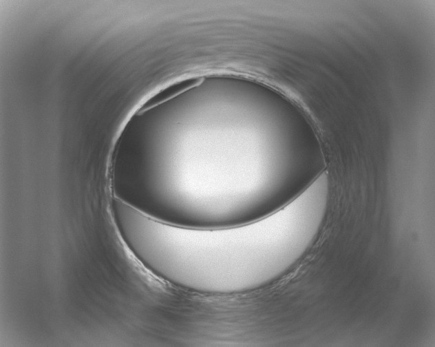 X0000056321524200508260837
