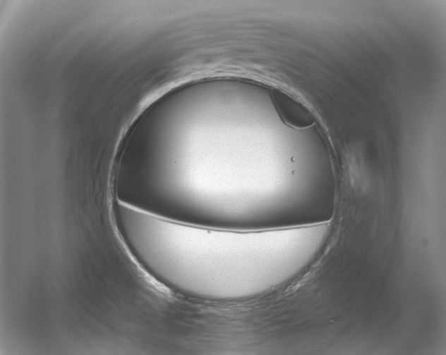 X0000056321525200508260837