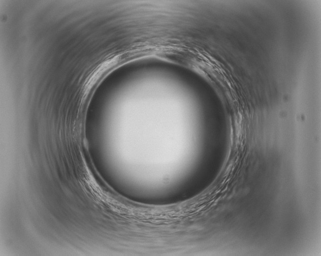 X0000056320003200508261207