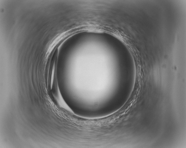 X0000056320007200508261207