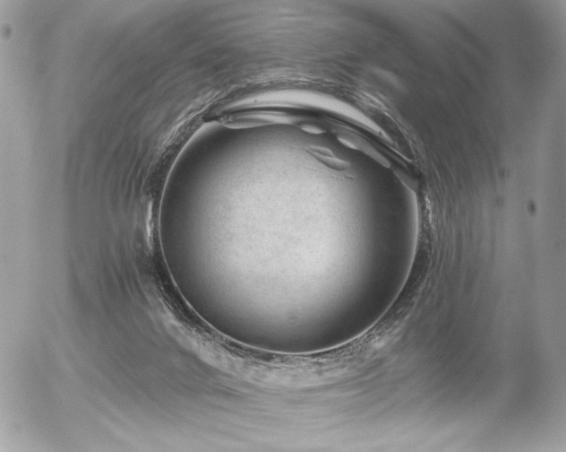 X0000056320024200508261206