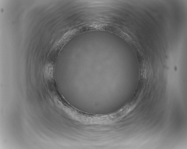 X0000056320036200508261206