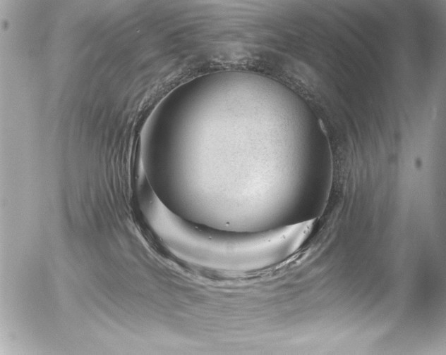 X0000056320040200508261206