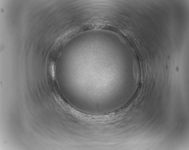 X0000056320042200508261206