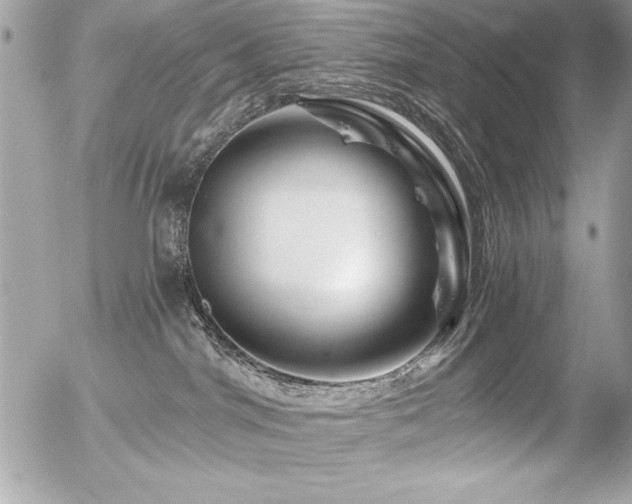 X0000056320044200508261206