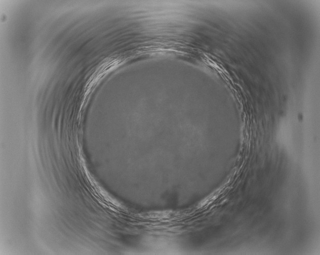 X0000056320049200508261205