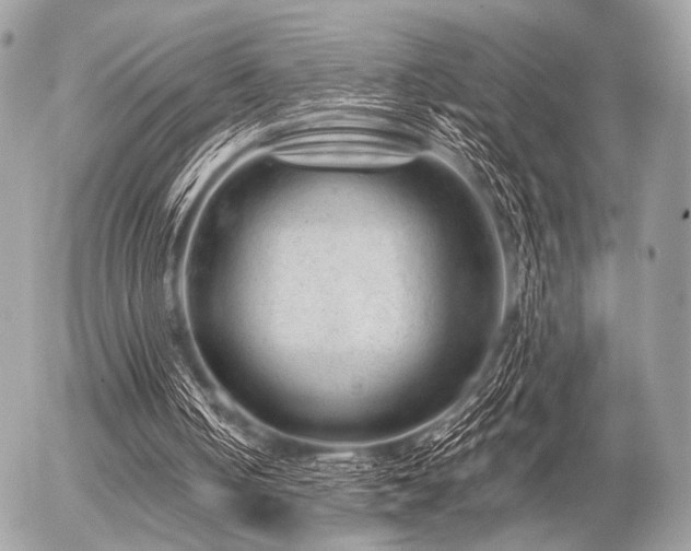 X0000056320050200508261205