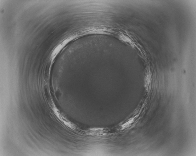 X0000056320052200508261205
