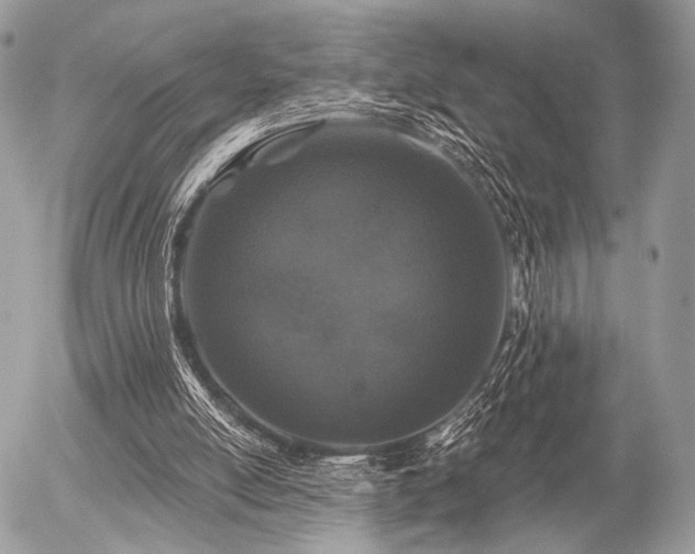 X0000056320054200508261205
