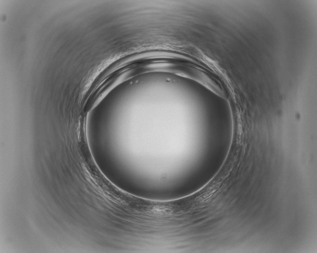 X0000056320060200508261205
