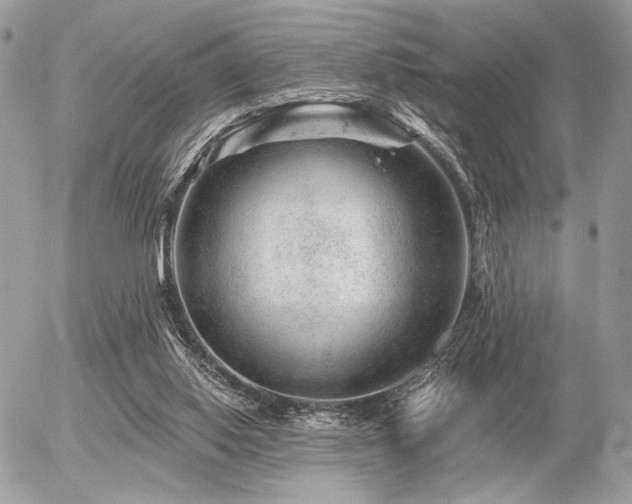 X0000056320062200508261205