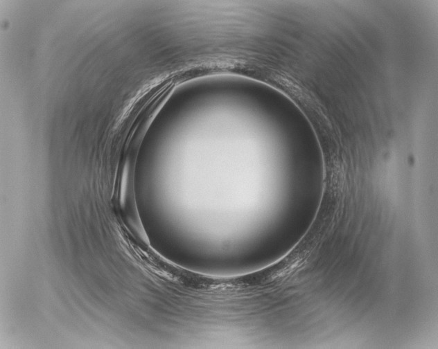 X0000056320064200508261205