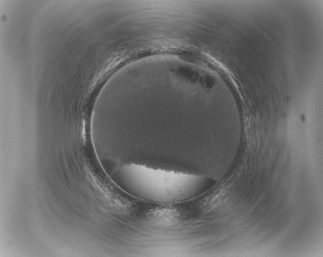 X0000056320067200508261205