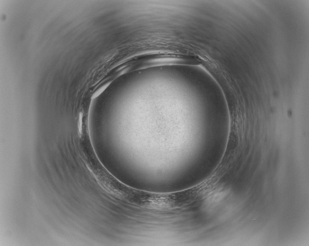X0000056320070200508261206