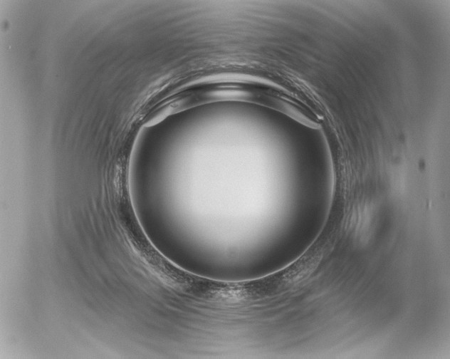 X0000056320071200508261206