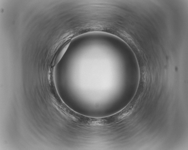 X0000056320072200508261206