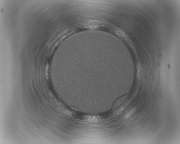 X0000056320073200508261206