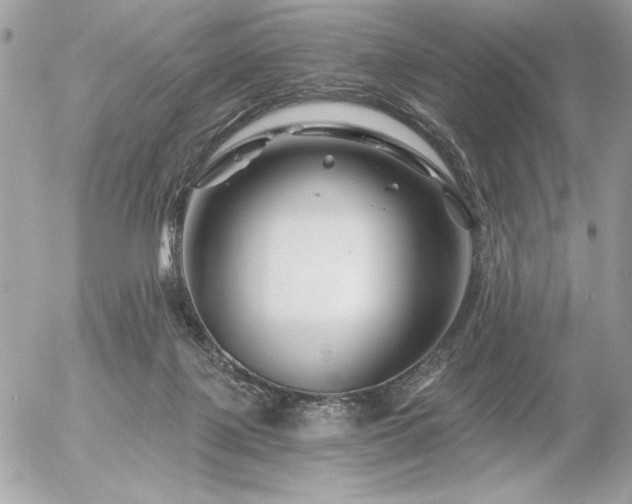 X0000056320075200508261206