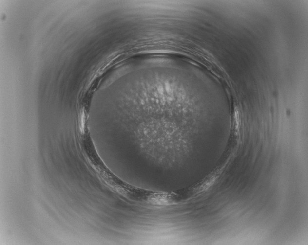 X0000056320076200508261206