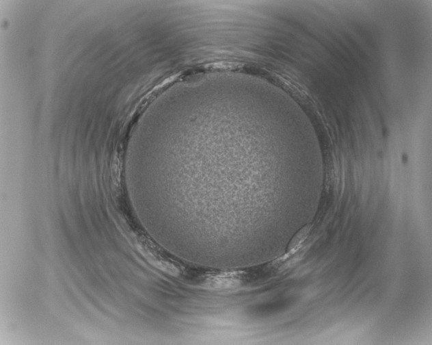 X0000056320078200508261206