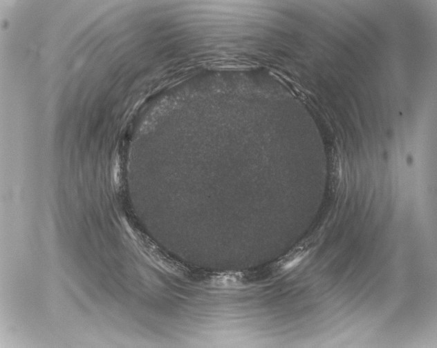 X0000056320080200508261206