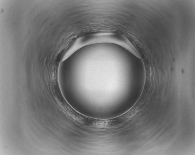 X0000056320084200508261206