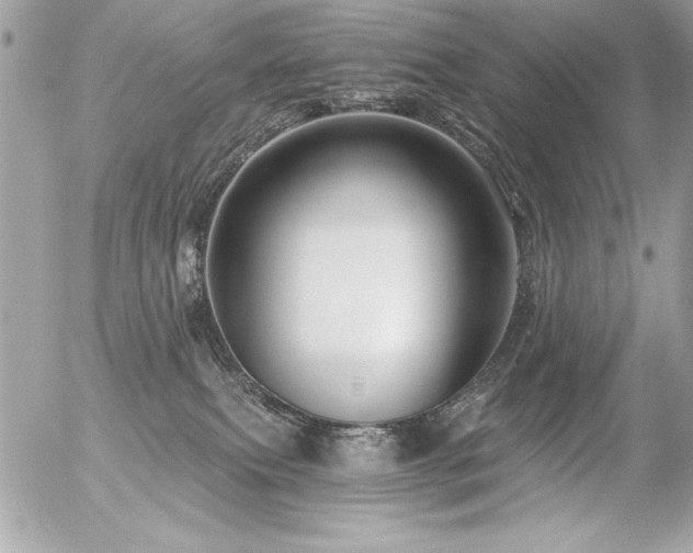 X0000056320087200508261206