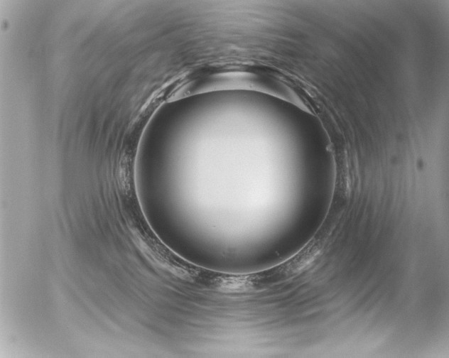 X0000056320088200508261206