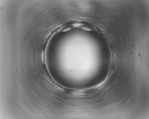 X0000056320094200508261206