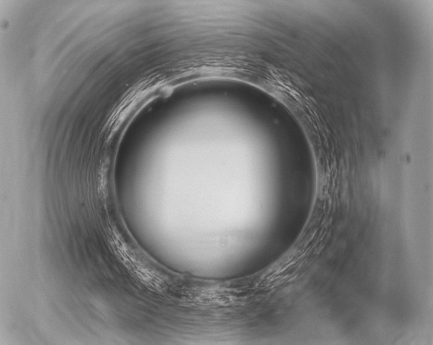 X0000056320098200508261205