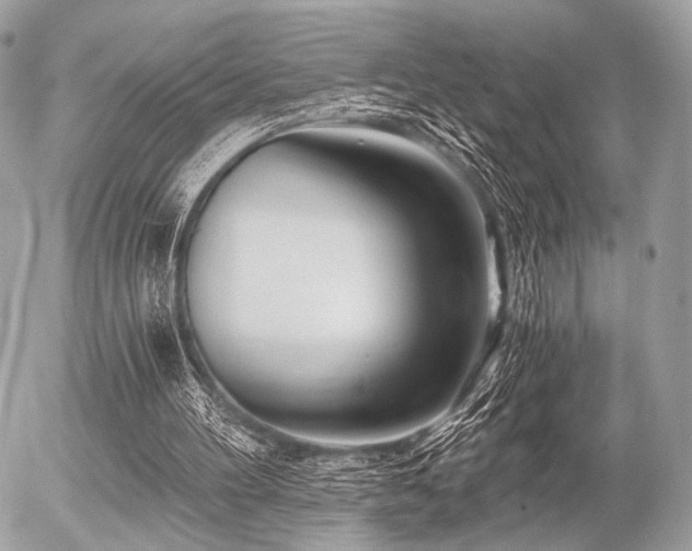 X0000056320100200508261205