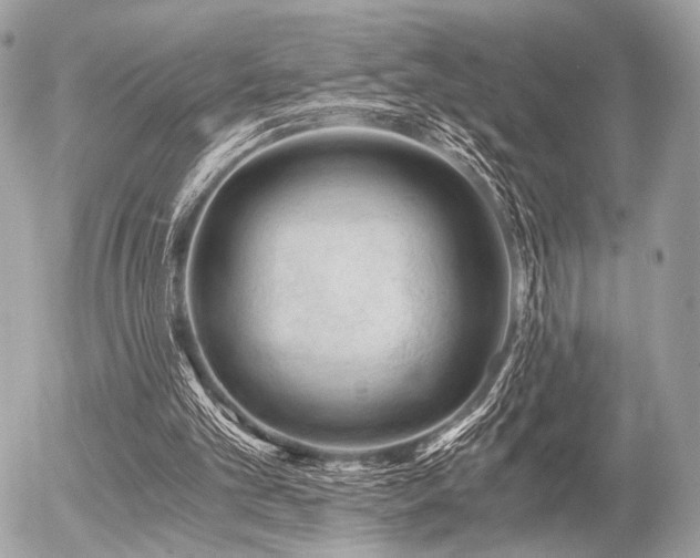 X0000056320101200508261205