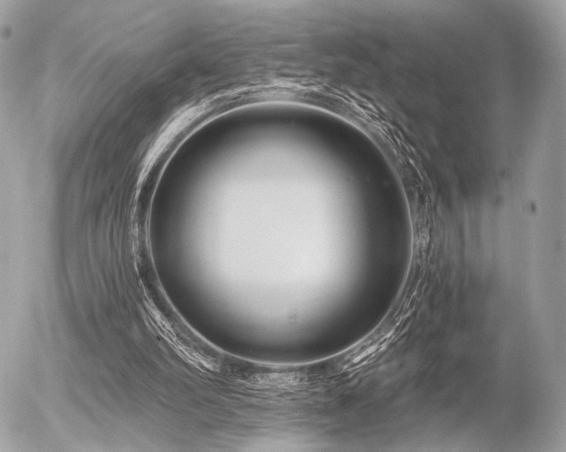 X0000056320102200508261205