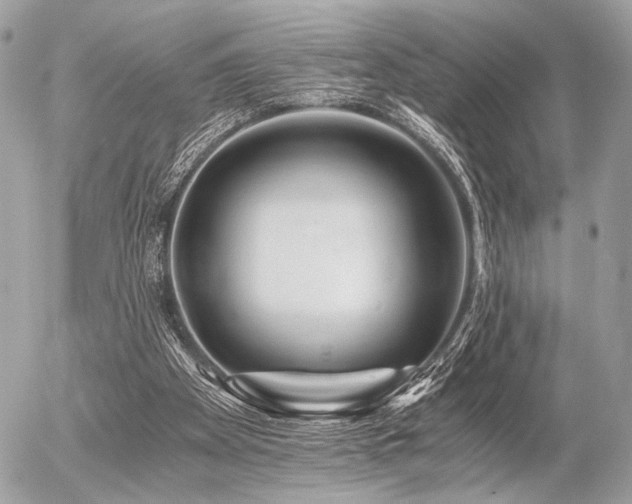 X0000056320105200508261205