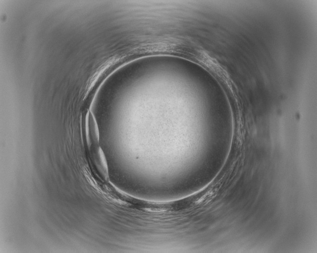 X0000056320107200508261205