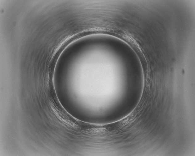 X0000056320108200508261205