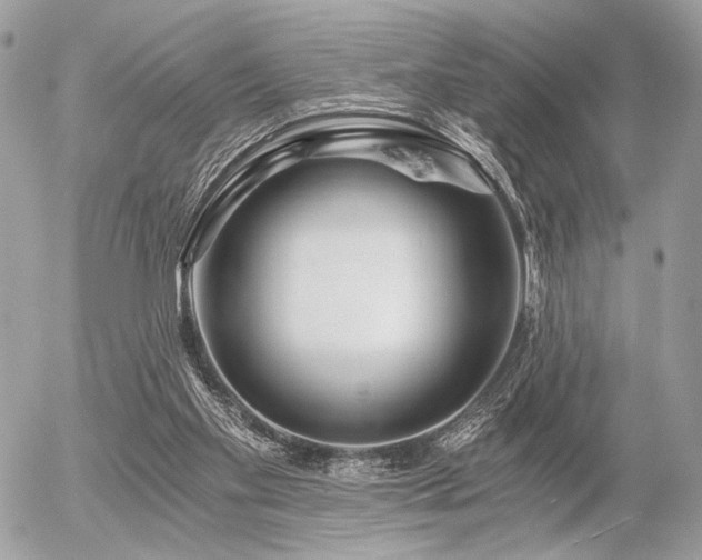 X0000056320109200508261205