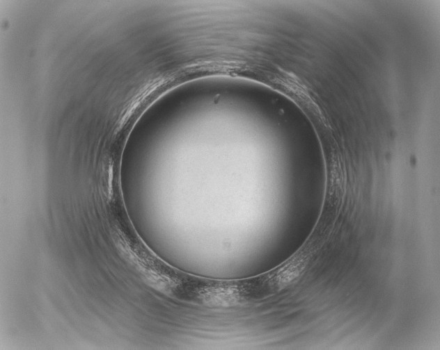 X0000056320110200508261205