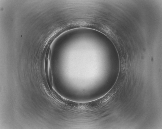 X0000056320111200508261205