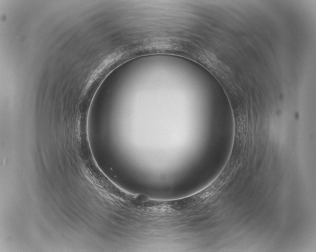 X0000056320112200508261205