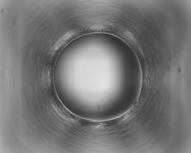 X0000056320116200508261205