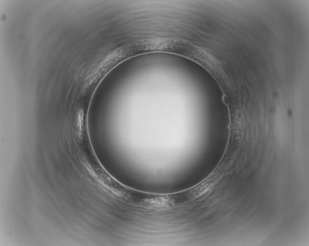 X0000056320118200508261205