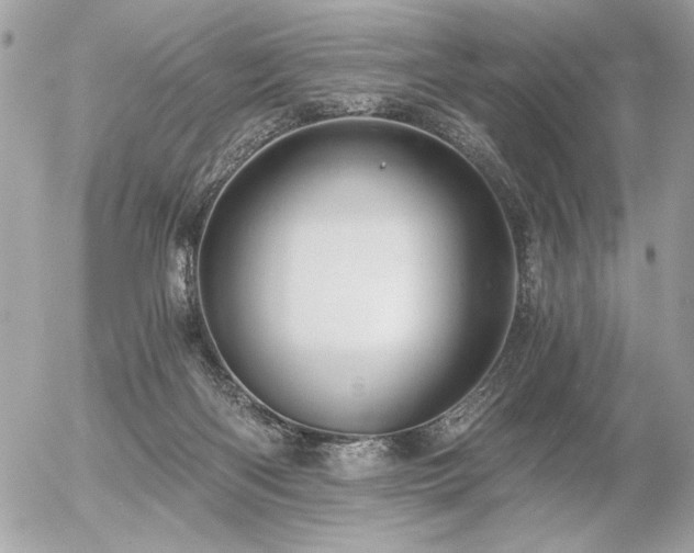 X0000056320122200508261205