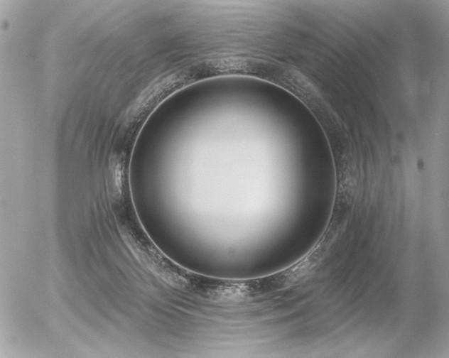 X0000056320124200508261205