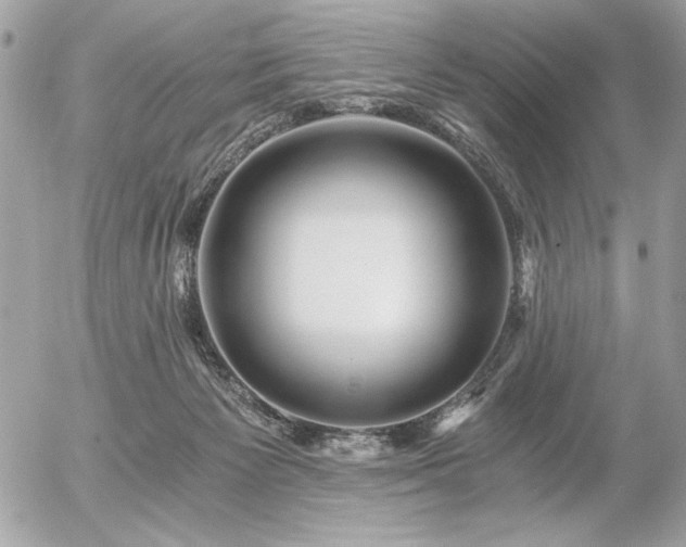 X0000056320125200508261205