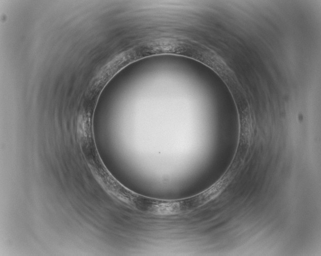 X0000056320126200508261205