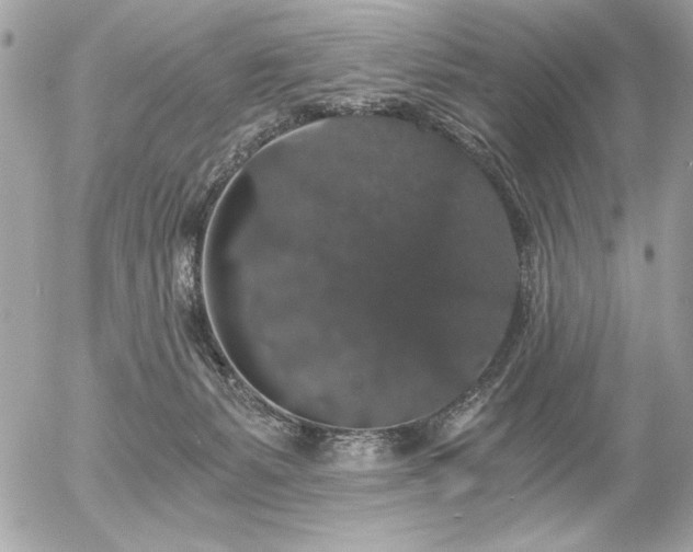 X0000056320127200508261205