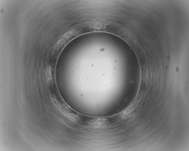 X0000056320128200508261205
