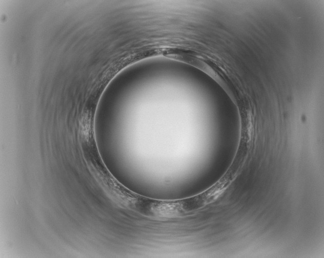 X0000056320129200508261205
